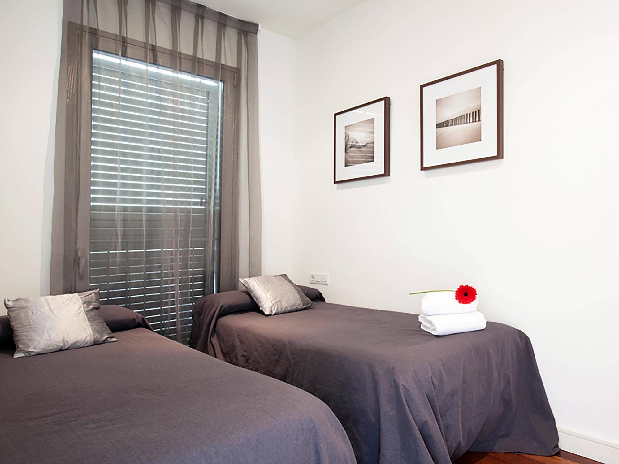 Aspasios Catedral Apartments Barselona Dış mekan fotoğraf